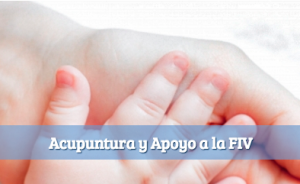 acupuntura y apoyo a la Fiv