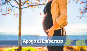Acupuntura y Apoyo al Embarazo