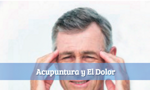 acupuntura-y-el-dolor